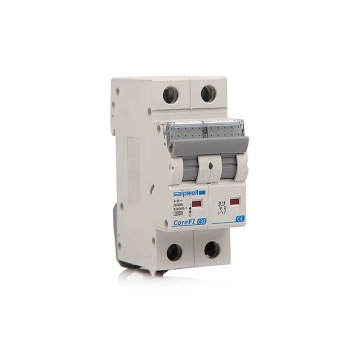 SAIP/SAIPWELL Low Price 1000V Dc Circuit Breaker